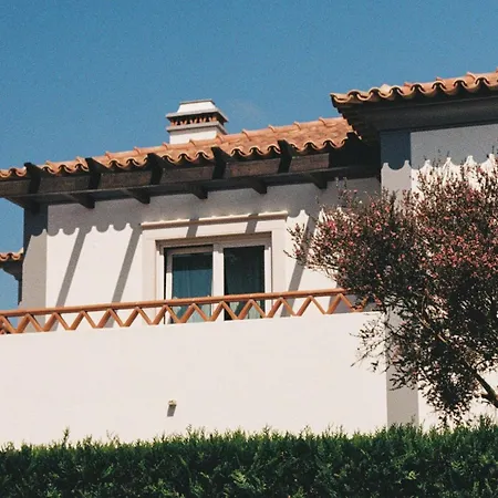 Surf Santa Cruz Силвейра